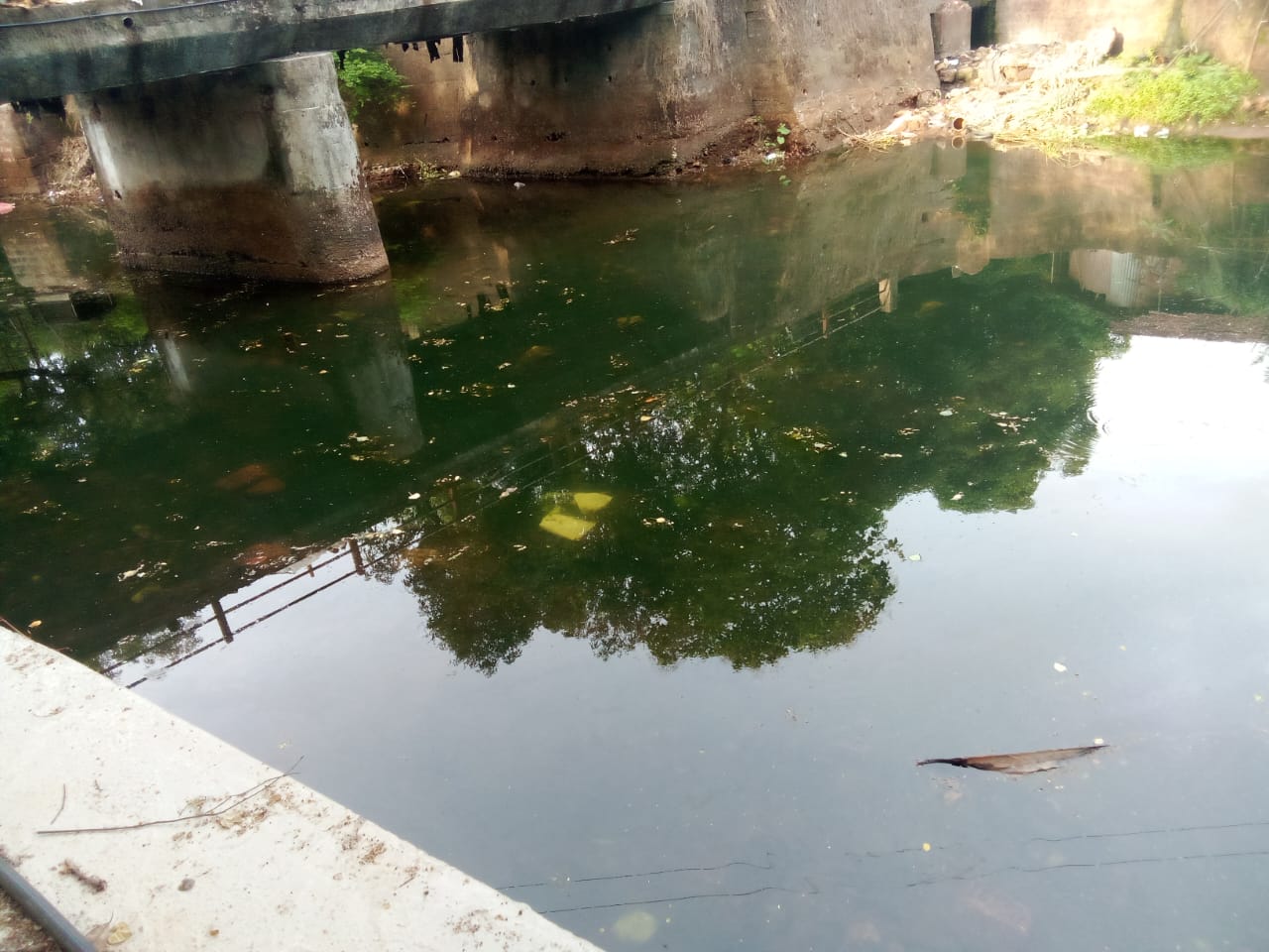 WhatsApp Image 2026-06-21 at 7.05.34 AM